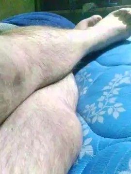 Cam4 Adult Video Chat of Novaton
