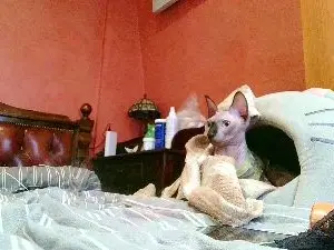 Photo 1