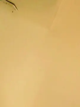 Cam4 Live Sex of margot30
