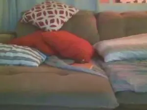 Cam4 Live Sex Cam of m444t5