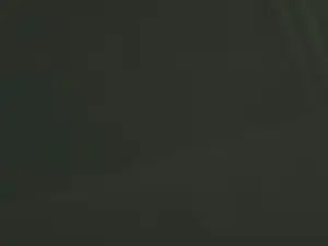 Cam4 Nude Webcam of hairy64daddy