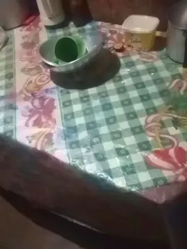 Cam4 Adult Webcams of Pauveiudo777