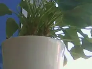 Cam4 Adult Video Chat of submb64