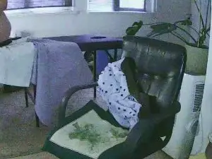 Cam4 Adult Video Chat of FelinaMza
