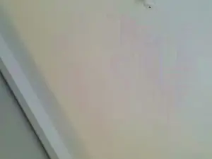 Cam4 Adult Video Chat of rem69xxx