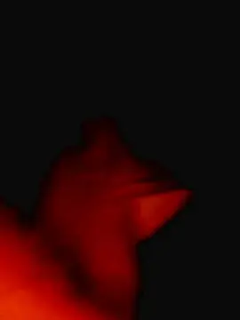 Cam4 Nude Webcam of Viciosilla85