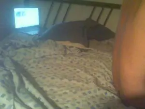 Cam4 Free Live Porn of maleblue