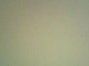 Cam4 Sex Cam of yalamania