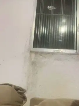 Cam4 Free Live Porn of 9vinsfd