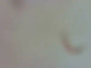 Cam4 Watch Live Sex Cams of koralineee
