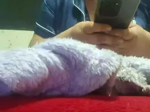 Cam4 Private Sex Chat of kiki2729_xxx4