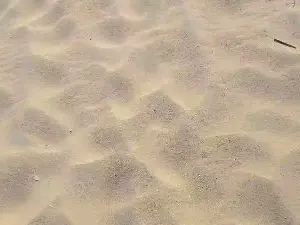 Cam4 Live Porn of Cuni40