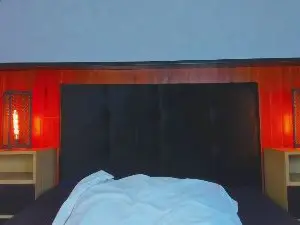 Cam4 Adult Webcams of Leo_Savage