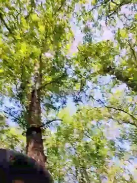 Cam4 Private Sex Chat of Melisissy44