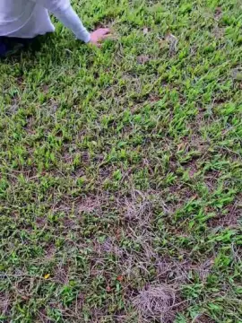 Cam4 Free Porn Cam of Tania__honey