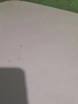 Cam4 Live Sex Cam of rickcba