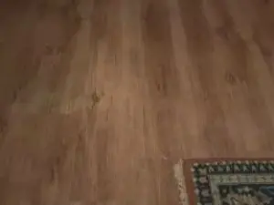 Cam4 Free Porn Cam of Valealegodiamo