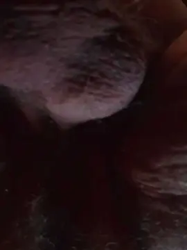 Cam4 Adult Webcams of Entoi03