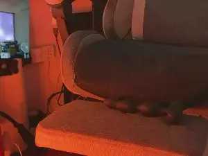 Cam4 Free Porn Cam of anoz703