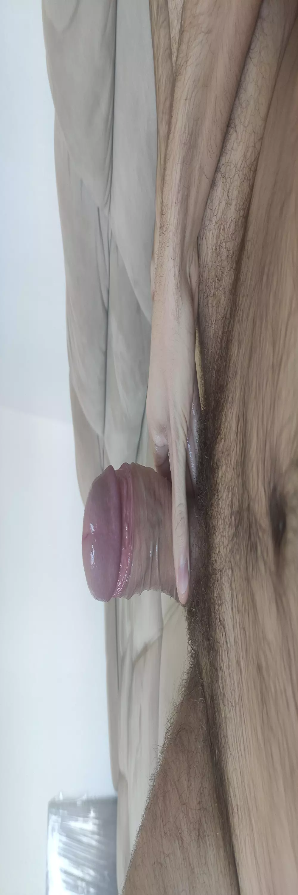 hairytboy1