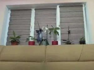 Cam4 Live Sex Cam of have_funnn