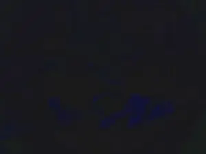 Cam4 Live Sex Cam of lishrimpdick