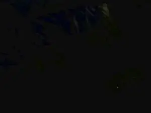 Cam4 Live Sex of leaveitinsideme