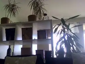 Cam4 Free Porn Cam of bigcockjohnxxx
