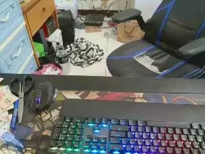 Cam4 Adult Webcams of jackdragon6