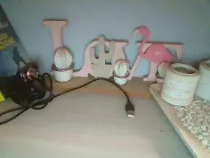 Cam4 Sex Chat of TettonaPelosa