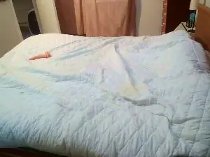 Cam4 Sex Chat of andbay1