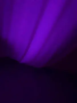 Cam4 Free Porn Cam of Zonaprohibida