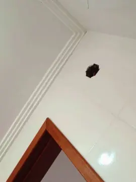 Cam4 Watch Live Sex Cams of Negaodorio21