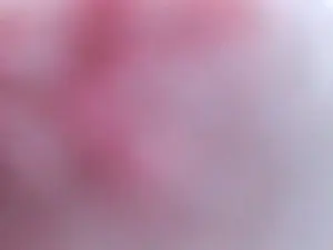 Cam4 Best Webcam of Ready2party88