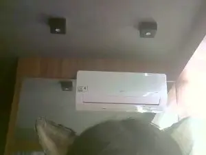 Cam4 Sex Cam of SkinnyKittenCam