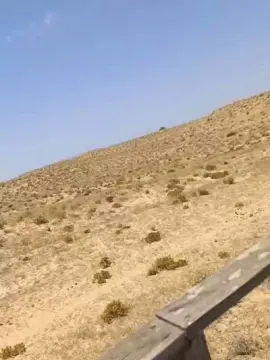 Cam4 Sex Cam of Cruising18