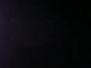 Cam4 Free Live Porn of antpa803