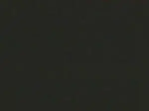 Cam4 Sex Chat of jovipol331