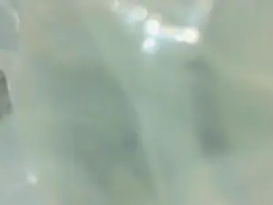 Cam4 Live Sex of charlesgato