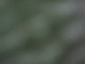 Cam4 Free Porn Cam of Leonrood69