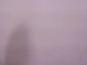 Cam4 Nude Webcam of Dietilamida