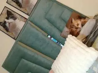 Camsoda Live Sex Cam of blair-wiloss