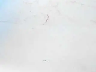 Camsoda Live Sex of sofiaa-cardenas