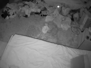 Camsoda Live Sex Cam of voyeurcam-julmodels-whitebed-5