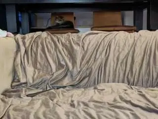 Camsoda Adult Webcam of tayteelswick