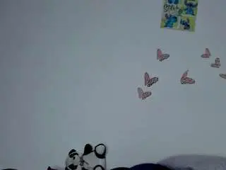 Camsoda Sex Chat of arianacollins11