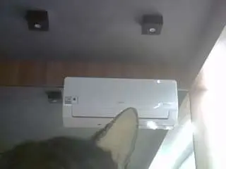 Camsoda Adult Webcams of skinnykittencam