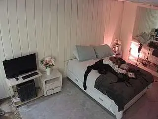 Camsoda Live Sex Cam of voyeurcam-casa-salsa-bedroom-5