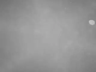 Camsoda Free Porn Cam of voyeurcam-casa-salsa-pool-1