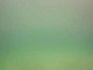 Camsoda Sex Chat of voyeurcam-casa-salsa-pool-1